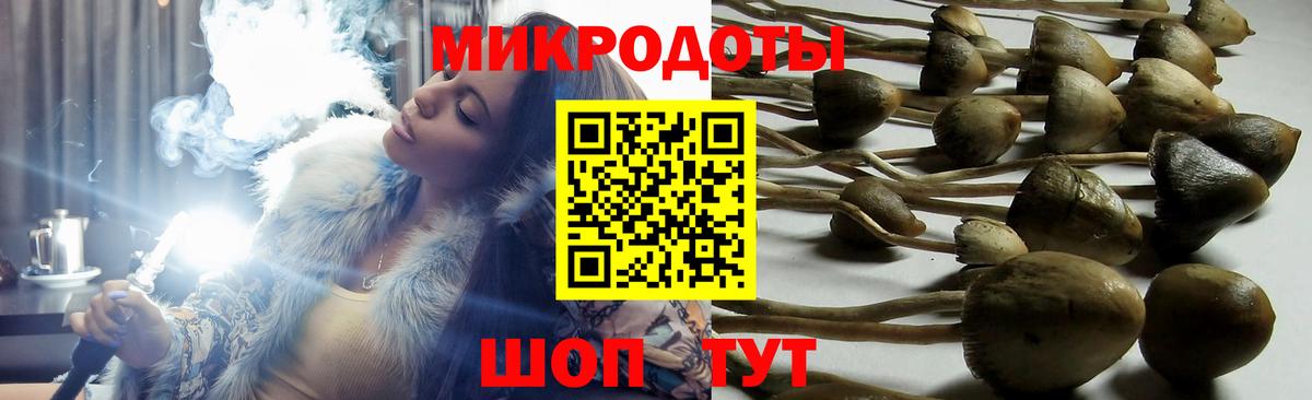 Псилоцибиновые грибы прущие грибы  Вход с VPN  Лабытнанги  Галлюциногенные грибы MAGIC MUSHROOMS 